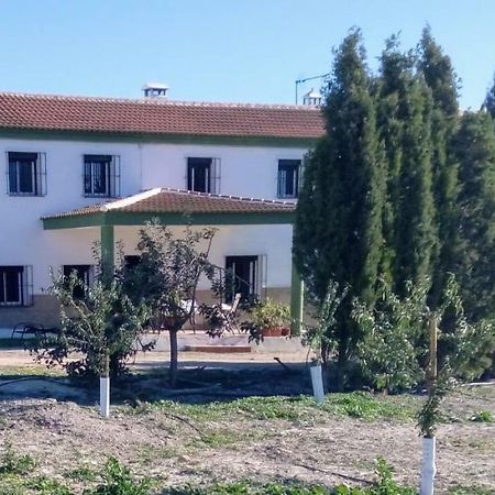 קמפיוס Alojamiento Rural El Oregano מראה חיצוני תמונה