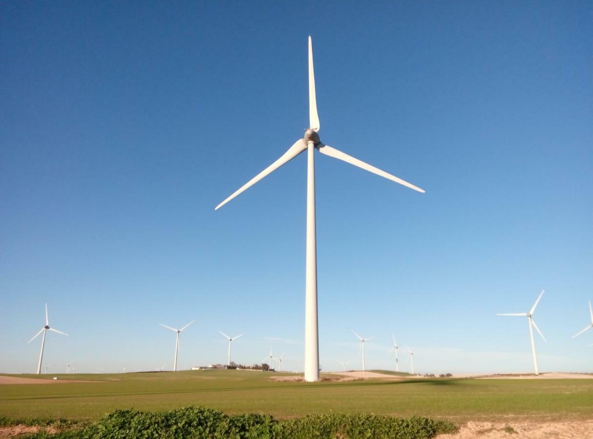 קמפיוס Alojamiento Rural El Oregano מראה חיצוני תמונה
