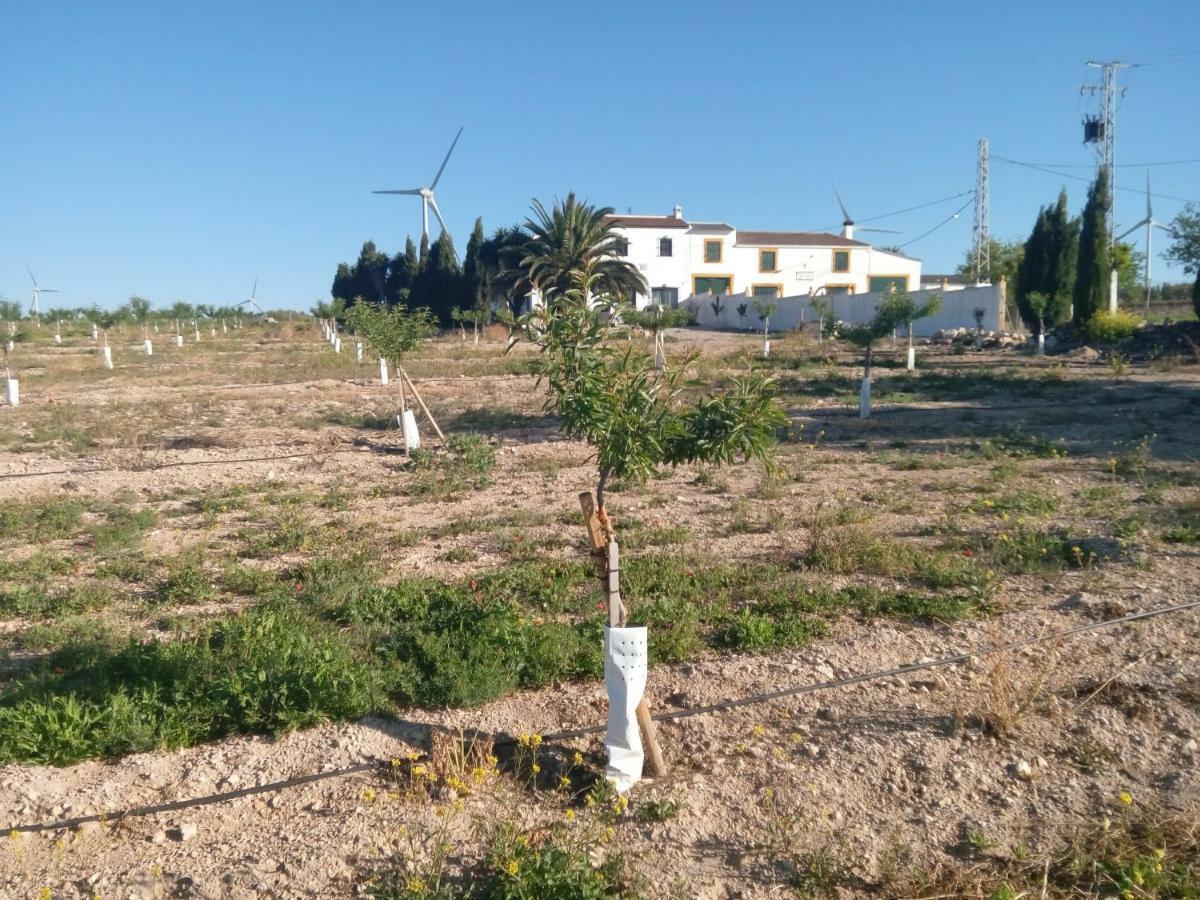 קמפיוס Alojamiento Rural El Oregano מראה חיצוני תמונה